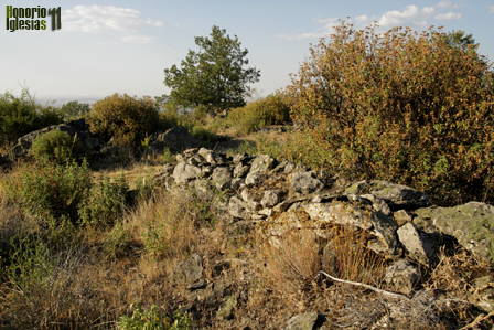 En los Montes de Valsaín la víbora hocicuda (Vipera latastei) es escasa y se encuentra muy localizada en algunos enclaves como en los muros, trincheras, jarales y pedreras de Cabeza de Gatos. 